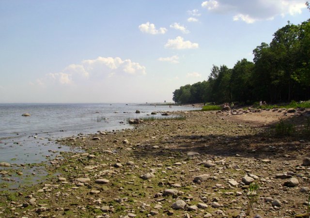 Доллпати для Питерцев. Приглашение! Предлагаю кукольную прогулку в Петергоф (фото 3)