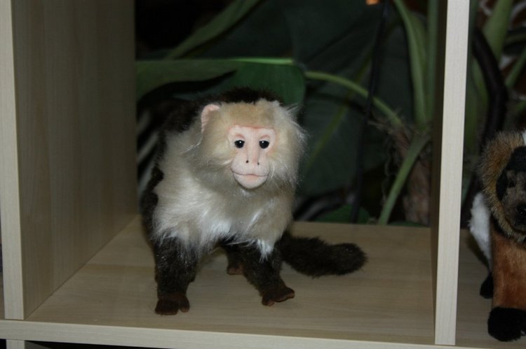 Выставка кукол, мишек тедди, кукольных домиков и миниатюры в Нидерландах 24-25 октября 2015 год. Четвертая часть | Бэйбики Выставка кукол, мишек тедди, кукольных домиков и миниатюры в Нидерландах 24-25 октября 2015 год. Четвертая часть