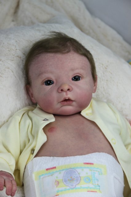 Софийкин! Кукленок реборн Виктории Вишни