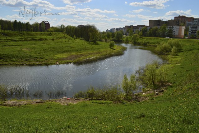 Яркие краски. Вихтели Rosemarie Anna Muller