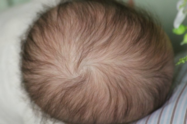 Мой ангел Линдея. Кукла реборн Светланы Ковылиной (фото 9)