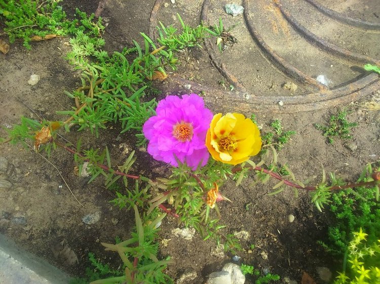 Воткинск — родина гения музыки Петра Ильича Чайковского. Часть 1