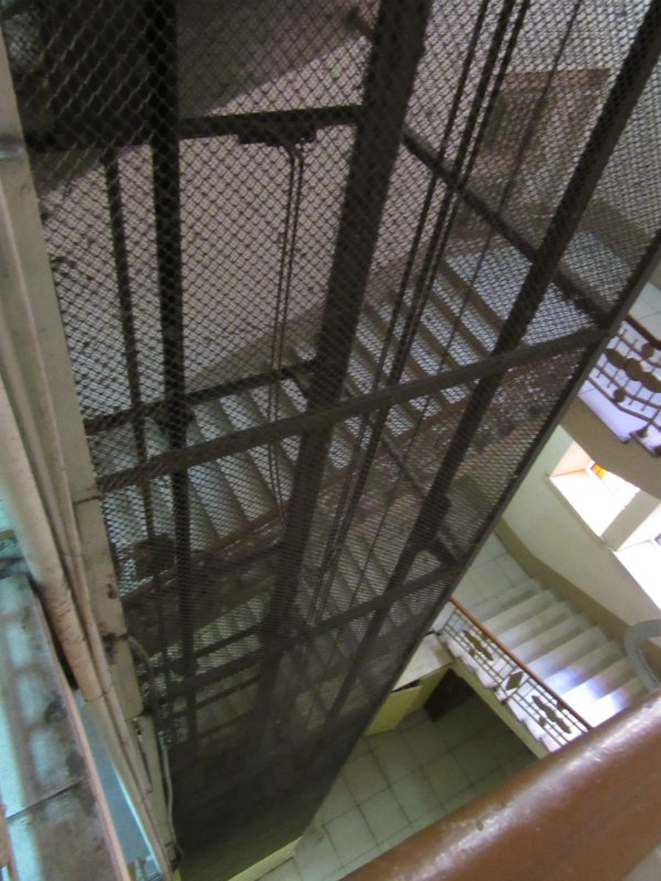 Всё я делаю с Хеленой...и диплом получаю тоже :)