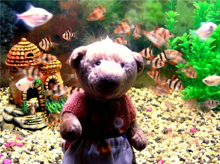 Лето. Солнце. Море. Всё смешалось - звери, куклы. Часть2 | Бэйбики Лето. Солнце. Море. Всё смешалось - звери, куклы. Часть2