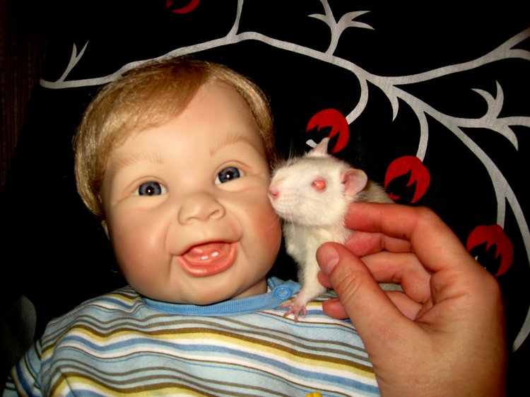 Маш новенький малыш Ванечка. Коллекционная кукла Tinneke Steensens | Бэйбики Маш новенький малыш Ванечка. Коллекционная кукла Tinneke Steensens