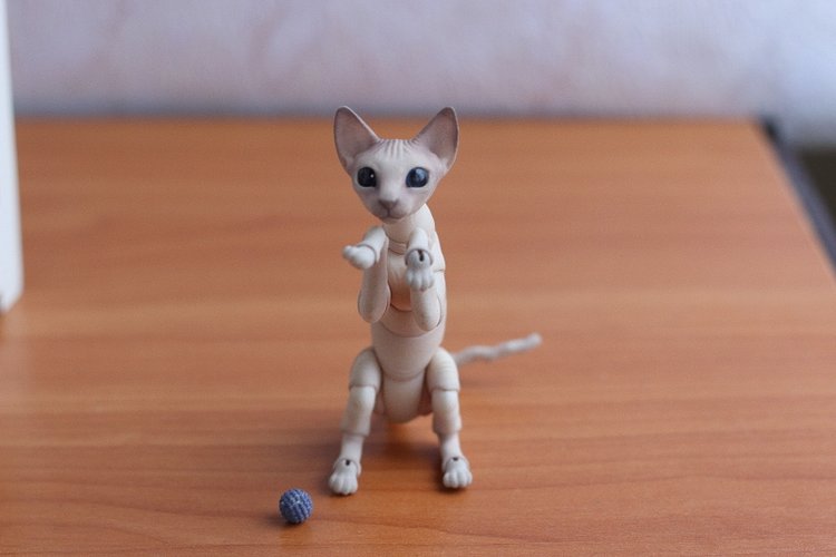 Кот играет с мячиком — Разные куклы BJD (БЖД): редкие бренды