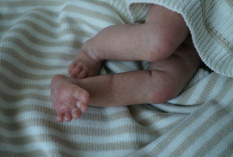 Addy, маленький воробушек. Кукла реборн Наталии Коноваловой (фото 4)