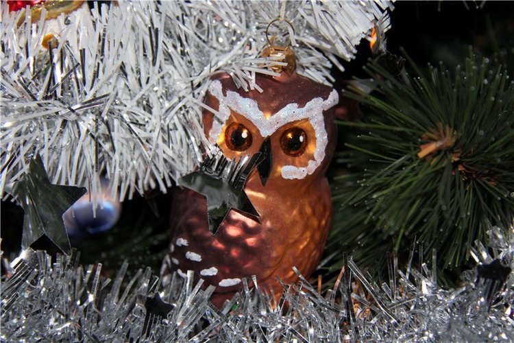 Пятница 13 или подарок на Старый-Новый год. Джульетта от Sylvia Natterer