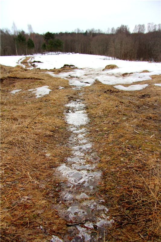 Весеннее путешествие. Продолжение