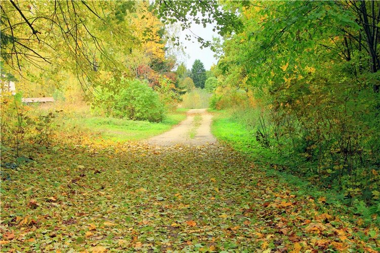 Из сентября в октябрь с воспоминанием о лете. Часть вторая (фото 6)