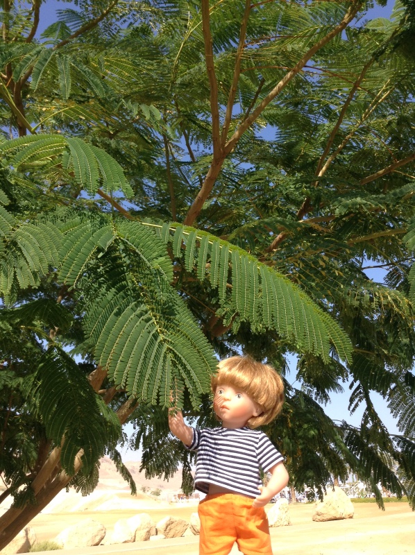 Белое солнце пустыни. Ч.2. Восточное, Соленое, Мертвое море- легенда