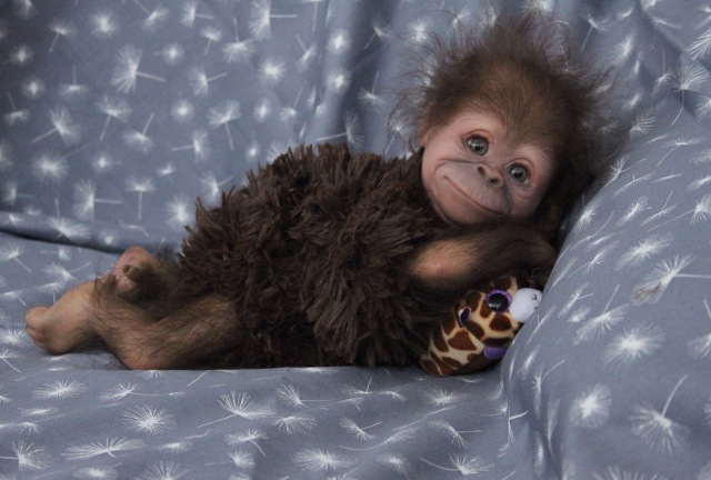 Клёпочка, кукла реборн Элины Кудрявцевой