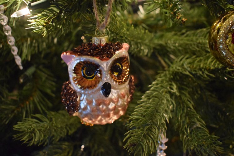 Болталка и разговоры обо всем: жизнь