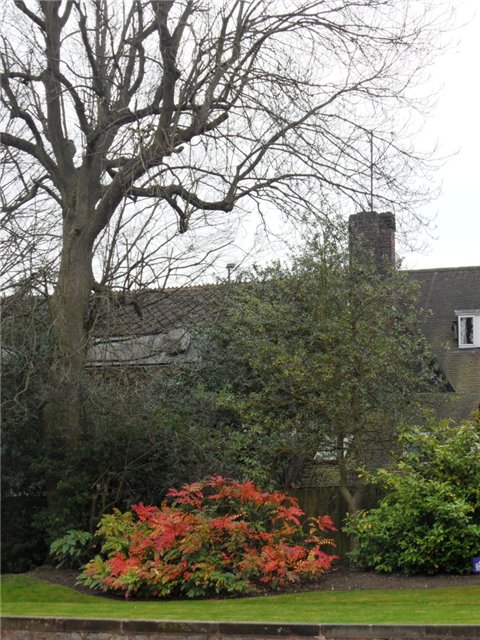 Рут, Эстер и шоколадная фабрика. Cadbury World, Bournville (фото 8)