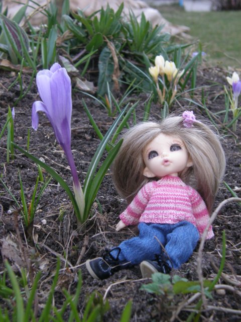 Первая вылазка на улицу. Puki fee Ante, bjd