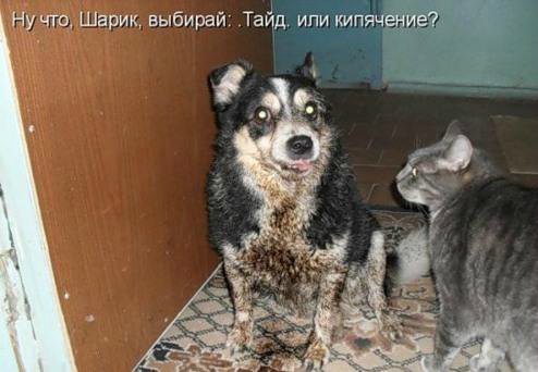 Понедельник - день тяжёлый | Бэйбики Понедельник - день тяжёлый (фото 6)