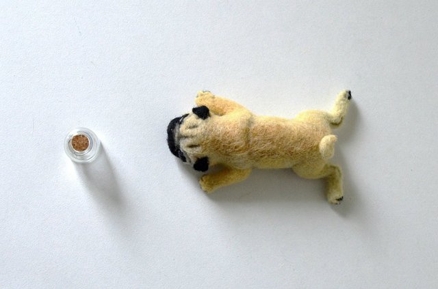 Пасмурный мопсик. Игрушка валянием своими руками (фото 4)