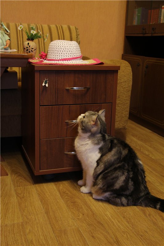 "Живая шляпа". Куклы Rosemarie Anna Muller (фото 2)