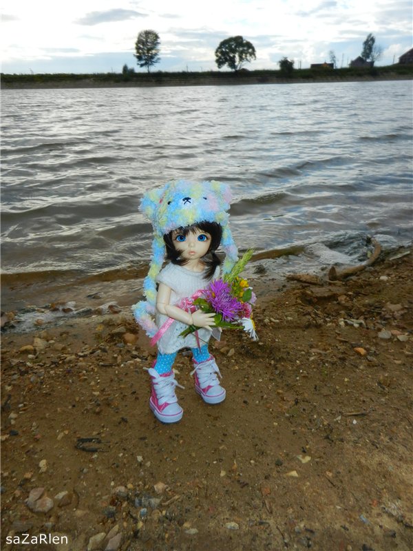 Варвара путешевственница (Литтлфи Анте)