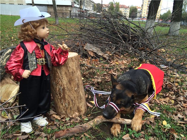 История любви, или К нам приехали цыгане (фото 9)
