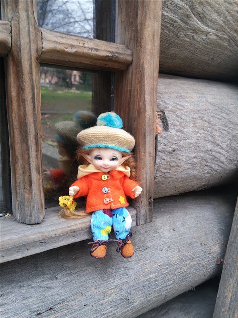 Один большой день из жизни маленькой Фроси