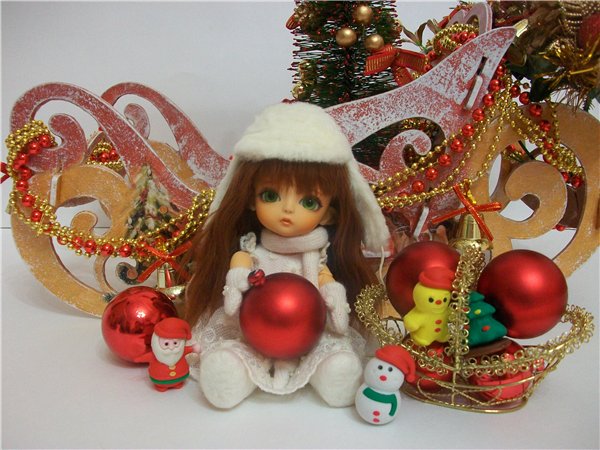 Как мои Латишки встречали Новый Год