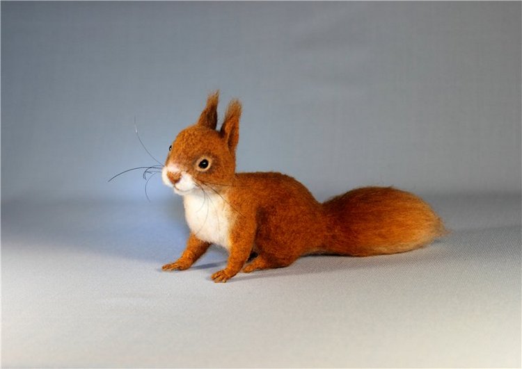 Белочка, которая верила в чудеса. Валяние из шерсти