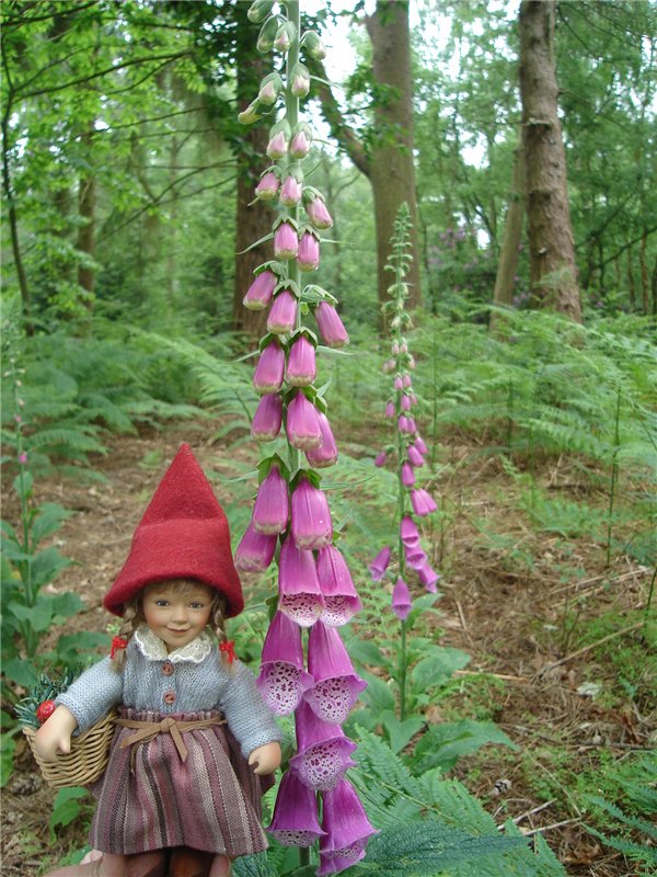 Гномики Аманда и Дитте путешествуют (фото 8)