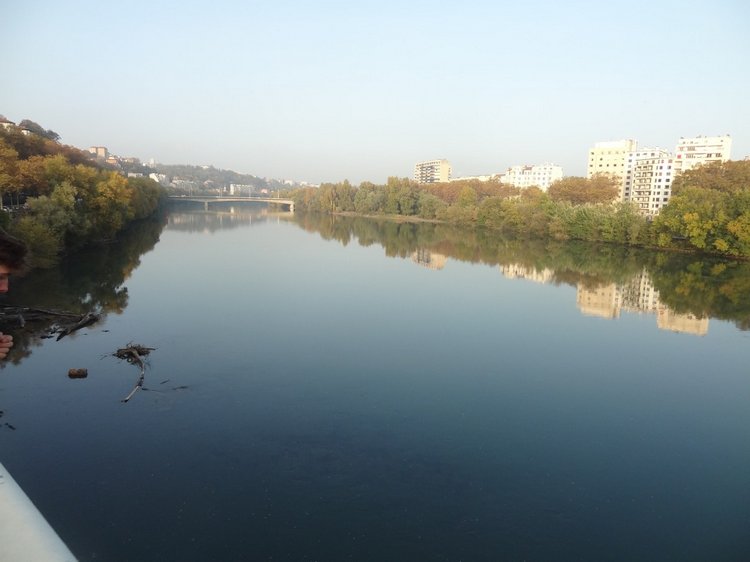 Немного о выставке в Лионе и мои новые шарнирные куклы. LDoll 2016 | Бэйбики Немного о выставке в Лионе и мои новые шарнирные куклы. LDoll 2016