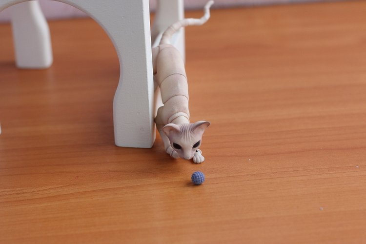 Кот играет с мячиком — Разные куклы BJD (БЖД): редкие бренды