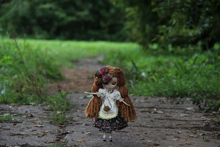 Немного об Амарри — Куклы Pullip (Пуллип) (фото 6)