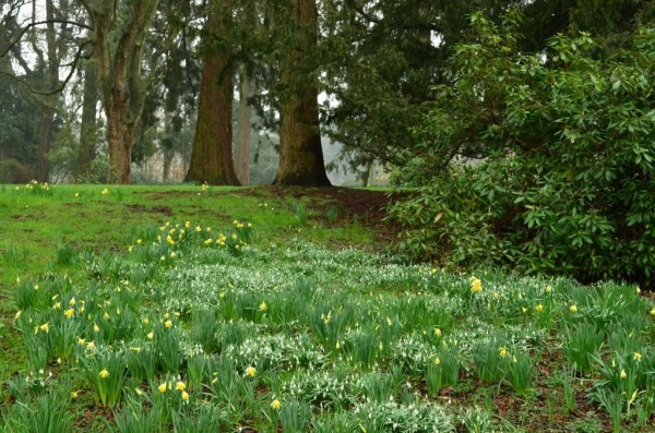 Зимнее солнце. Глава 10. Джаред из семьи Фоксов
