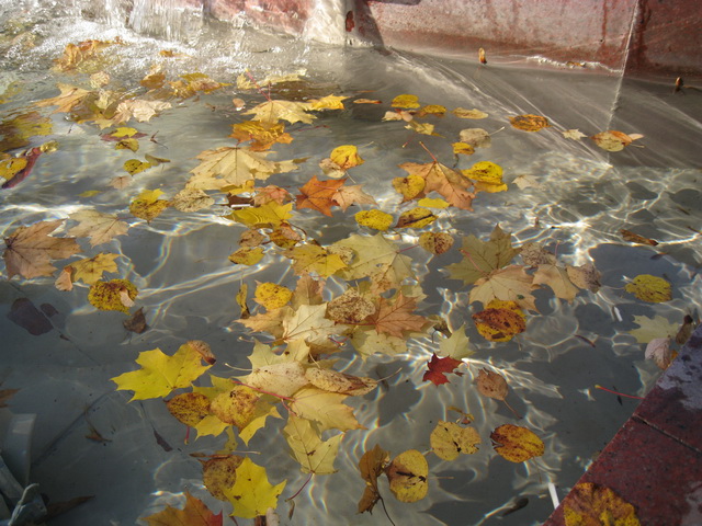 Золотая осень или прогулка по городу БЖД Пукифи Анте -- Элис | Бэйбики Золотая осень или прогулка по городу БЖД Пукифи Анте -- Элис
