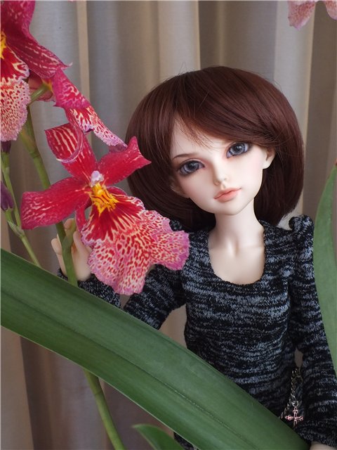 Моя Мишель... Такая разная... Minifee Lishe, Fairyland | Бэйбики Моя Мишель... Такая разная... Minifee Lishe, Fairyland (фото 6)