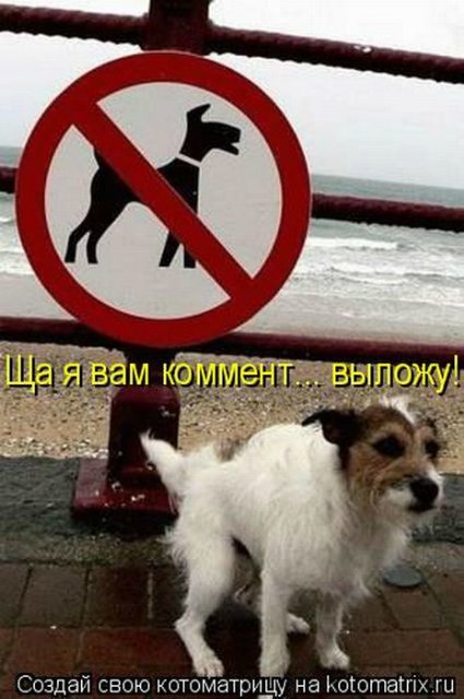 Понедельник - день тяжёлый | Бэйбики Понедельник - день тяжёлый