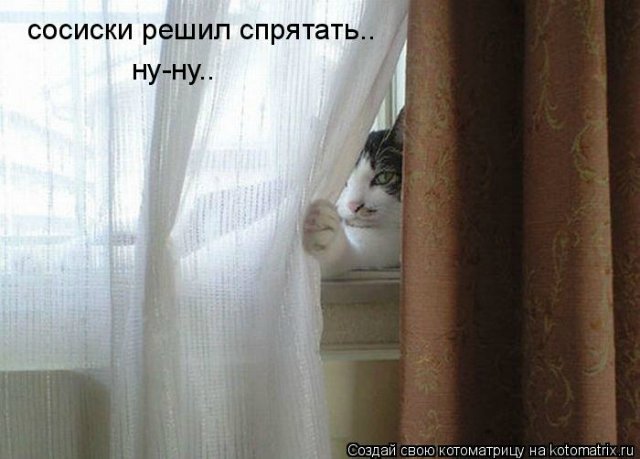 Море позитива) Для поднятия настроения (осторожно! много фото)))) | Бэйбики Море позитива) Для поднятия настроения (осторожно! много фото)))) (фото 3)