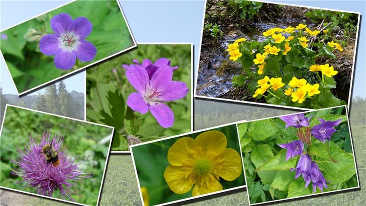 Национальный парк "Зюраткуль". ( 1ч. Хребет "Зюраткуль")