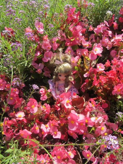 Путешествие, навеянное бебиками