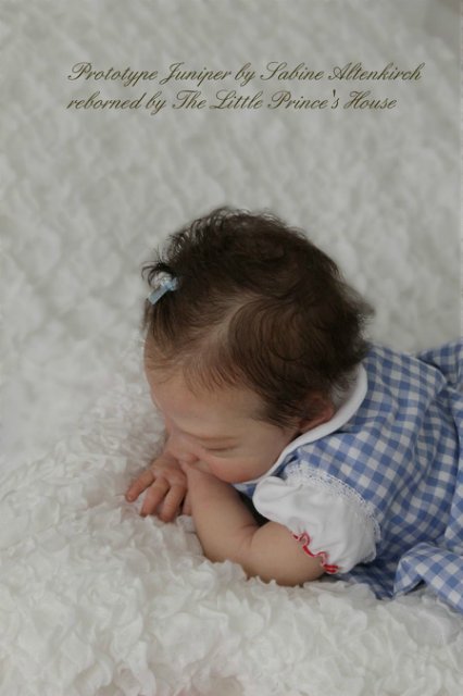 Прекрасная спящая белоснежка Прототип молда Juniper kit by Sabine Altenkirch (фото 5)