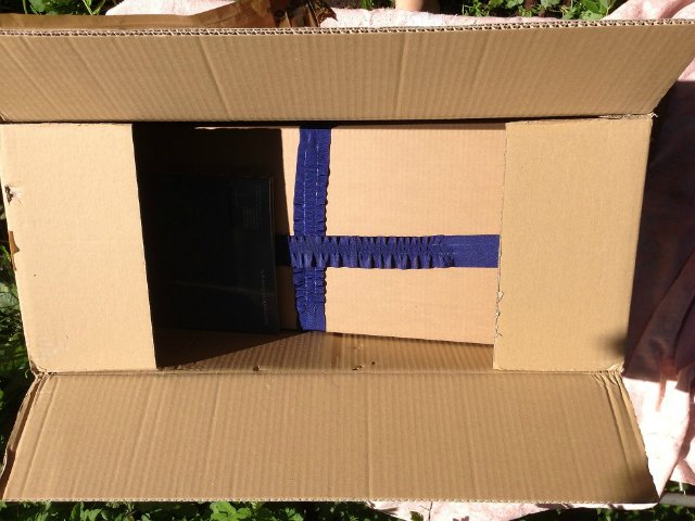 Zwergnase. Anneli. Распаковка и фотосессия (фото 6)