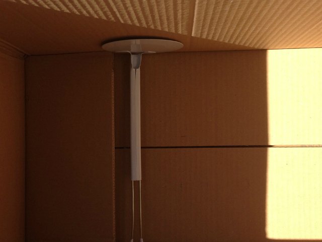 Zwergnase. Anneli. Распаковка и фотосессия