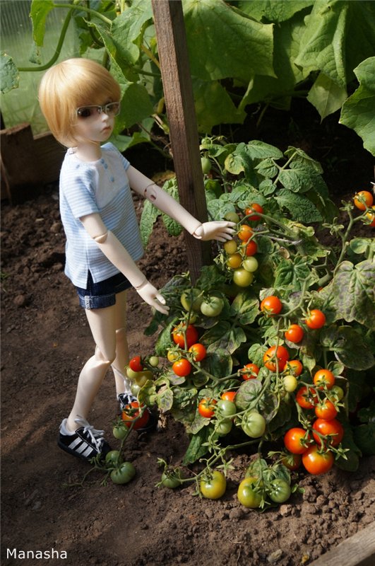 Как Женька провел лето 2014 года... Benjamin от LeekeWorld