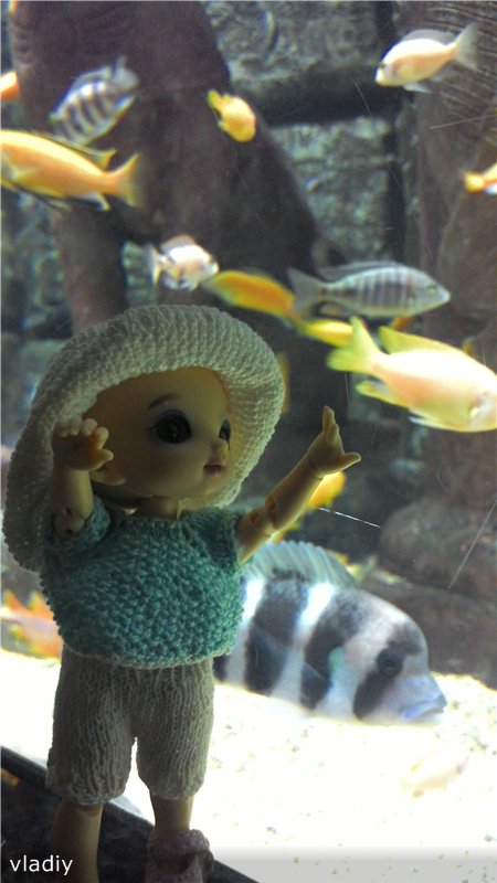 Как Стеша в Океанариум ездила (фото 5)