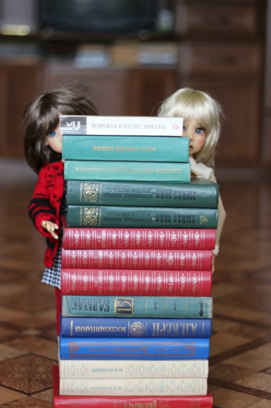 Куклы Кае Вигс и любовь к чтению (фото 2)