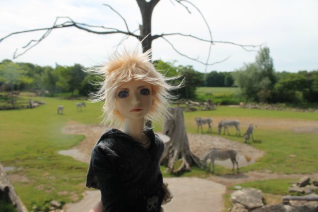 Сказка о Мишеле, BJD часть 2