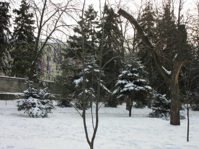 Чем бы заняться юному лорду 30 декабря