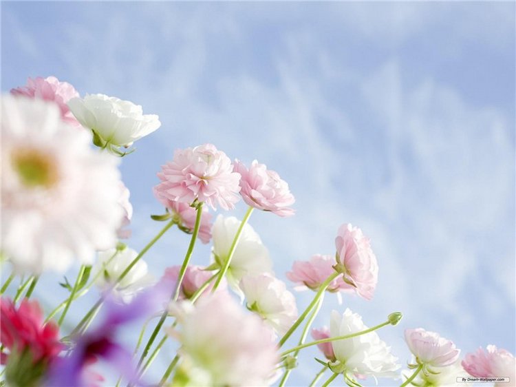 Марселька и тролли рассаду сажали, а бабочка с пчелкой им помогали... По следам конкурса "Моя Весна"