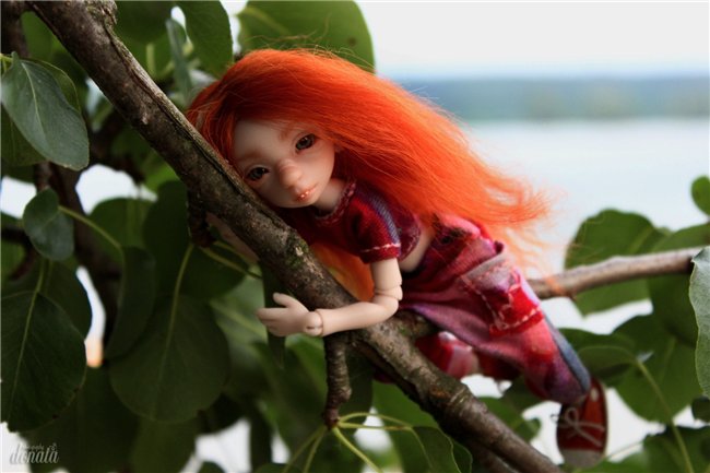 Раз, два, три, четыре, пять - вышла Фиби погулять! Авторская мышка Лидии Снуль