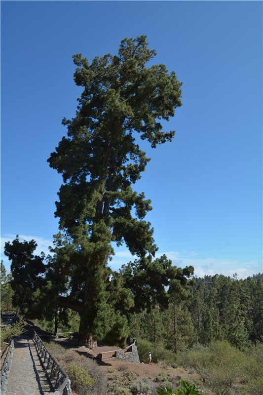 Испания. Тенерифе. Часть 1