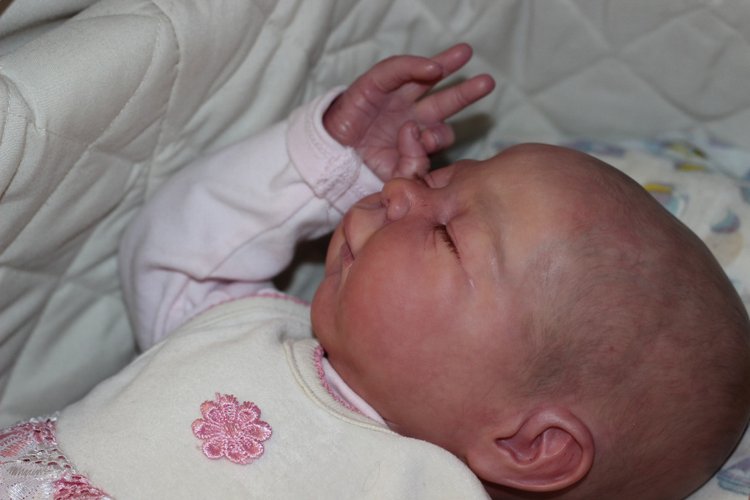 Сплюшечка Ариша ,мастер Ольга Астаповская